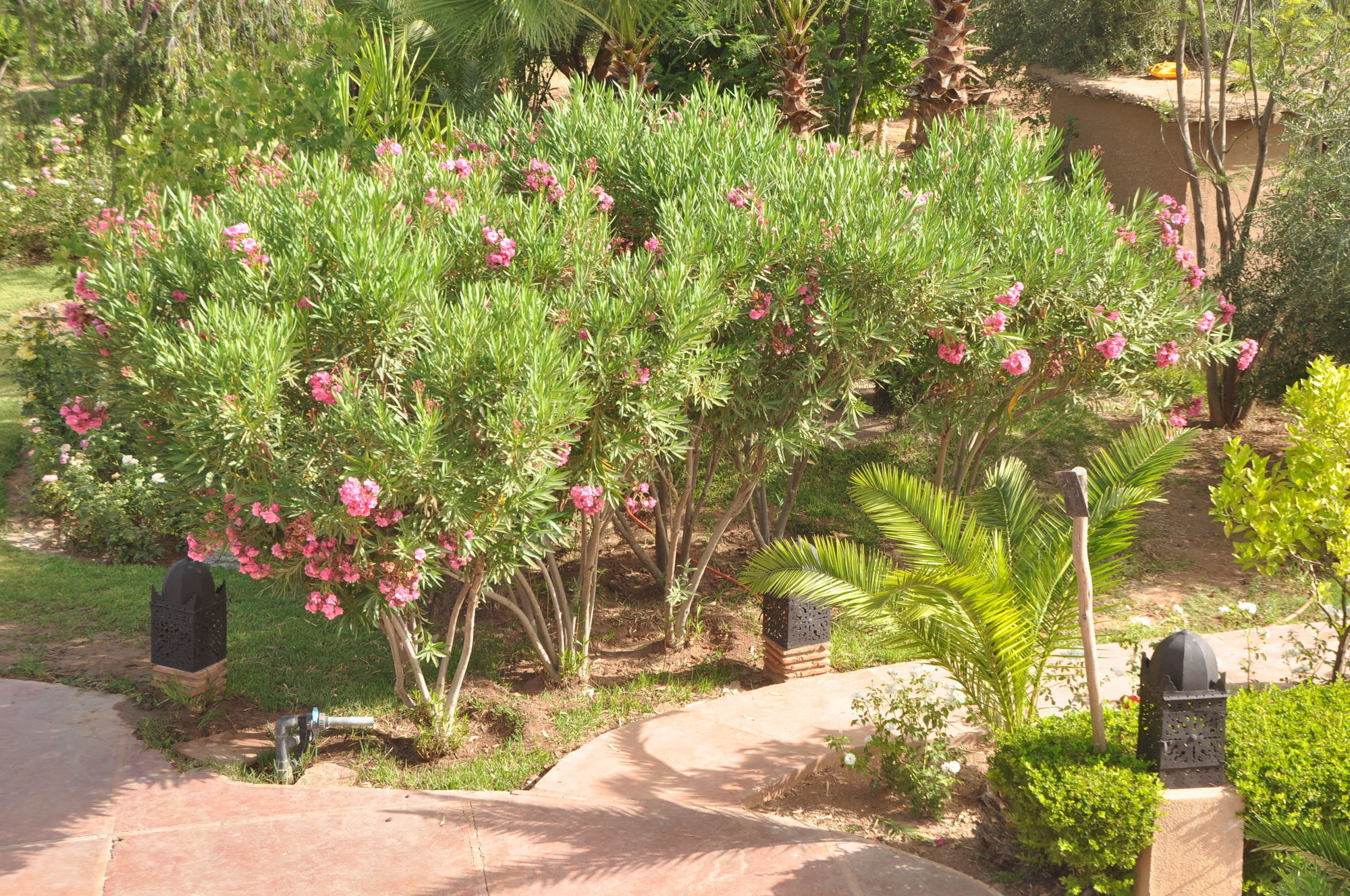 Riad Jawad & Spa Marrakesh Exterior photo