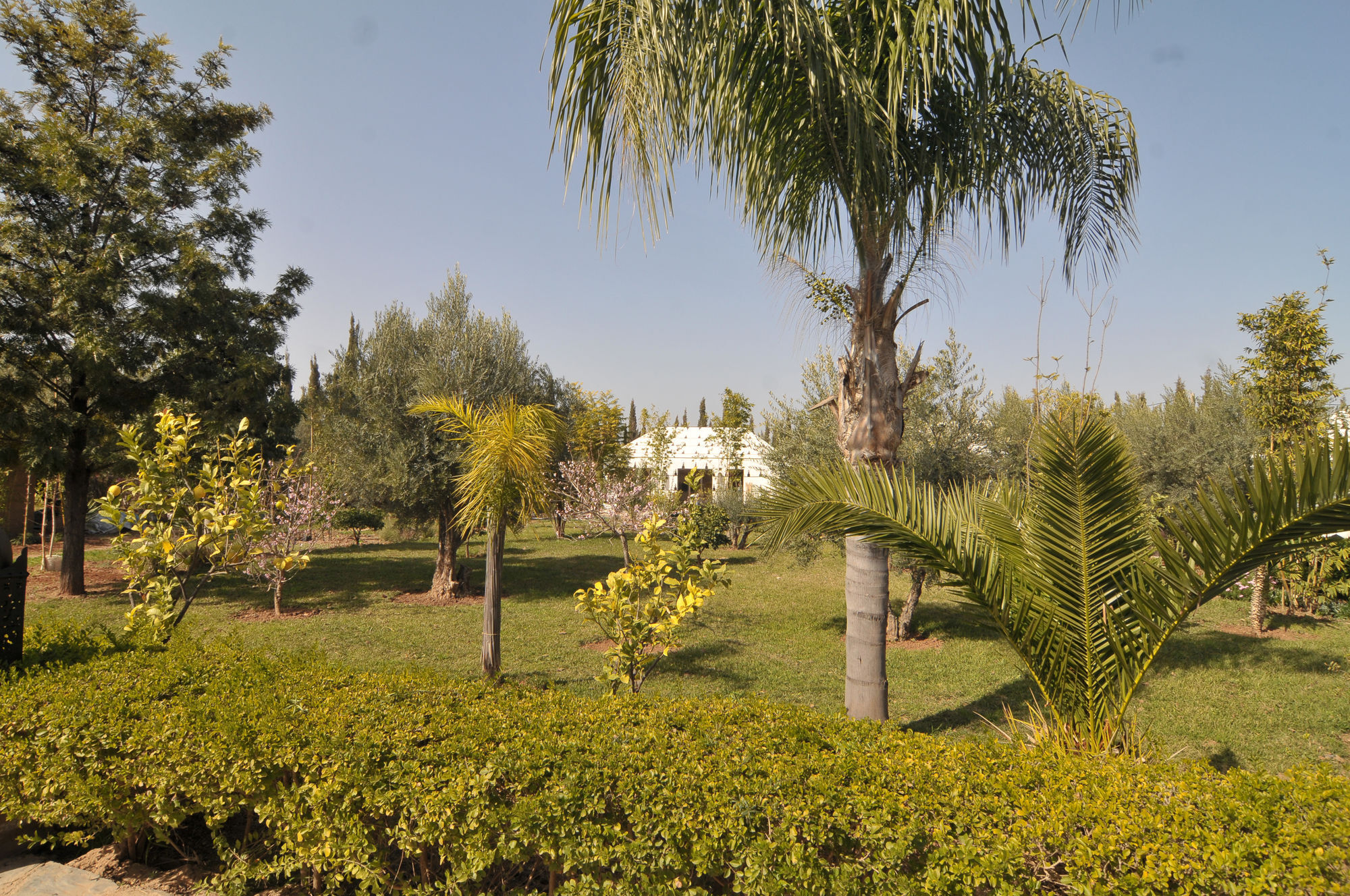 Riad Jawad & Spa Marrakesh Exterior photo